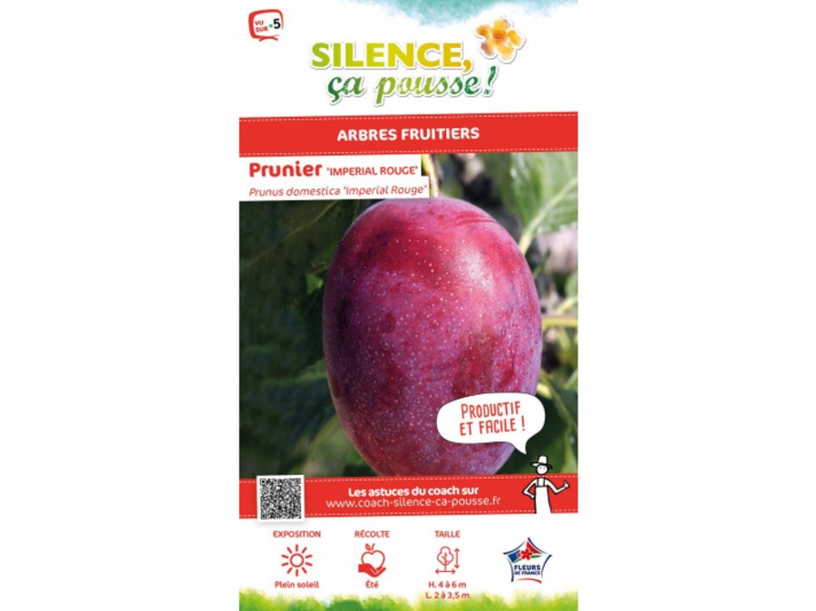 Prunier Imperial rouge | Silence, ça pousse