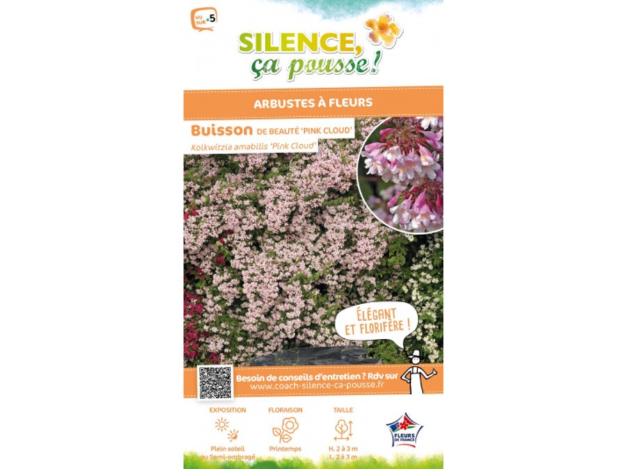 Buisson de beauté Pink Cloud | Silence, ça pousse