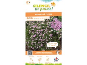 Spirée du Japon Little Princess Spirée du Japon Little Princess