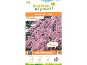 trois par trois tamaris