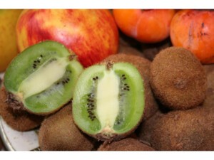 Kiwi chinensis Solissimo® 'Renact' (Autofertile)/Pot de 3L Kiwi chinensis Solissimo® 'Renact' (Autofertile)/Pot de 3L