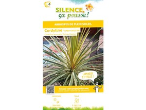 Cordyline d'Australie Torbay Dazzler Cordyline d'Australie Torbay Dazzler