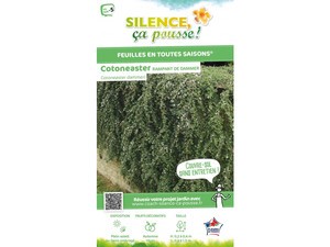 Cotoneaster rampant Cotoneaster rampant