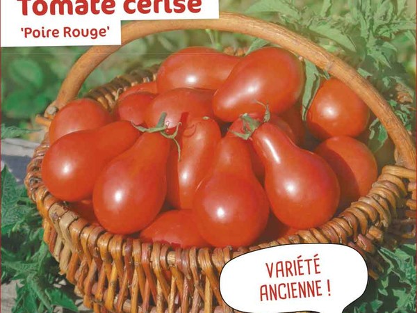 Tomate cerise Poire Rouge