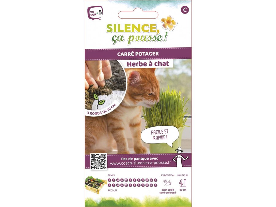 Plantes d'herbe à chat pour chats d'intérieur – Bac de culture d'herbe à  chat auto-arrosante pour chats d'intérieur, plantes grasses et herbe à chat