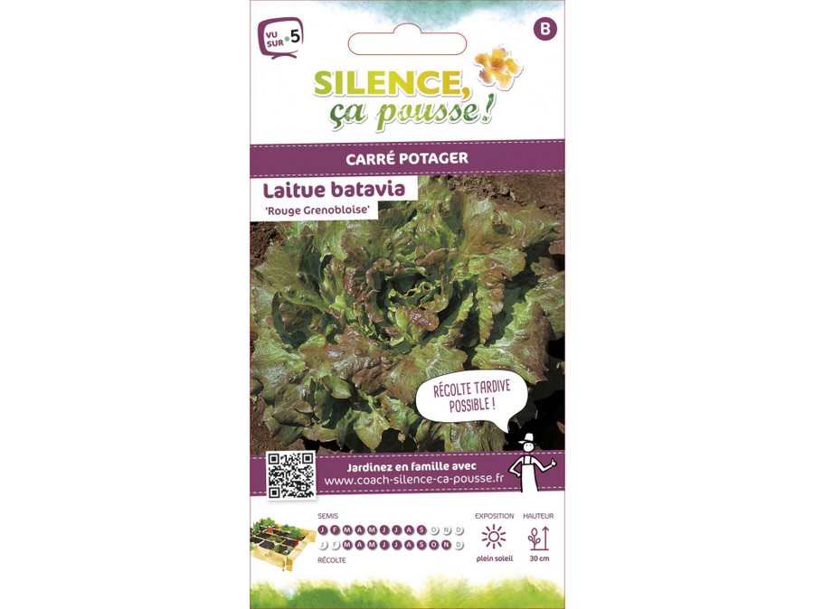 30 graines de salade LAITUE BATAVIA variété facile croissance rapide salad seed 30 graines de salade LAITUE BATAVIA variété facile croissance rapide salad seed
