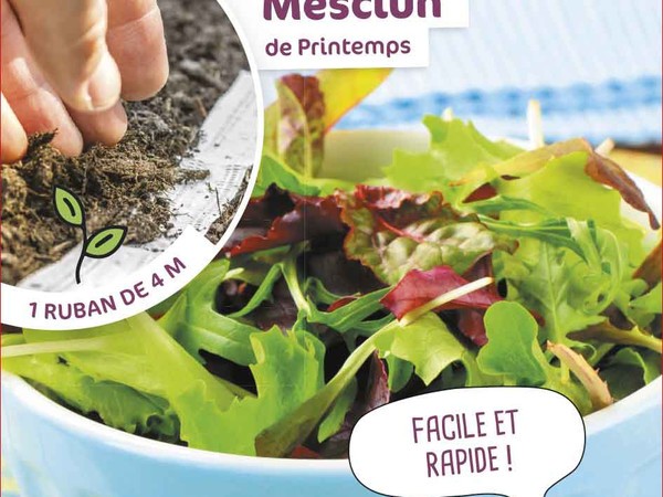 Mesclun de Printemps