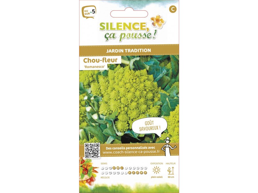 Chou Fleur Romanesco Silence Ca Pousse Chou Fleur Romanesco Silence Ca Pousse