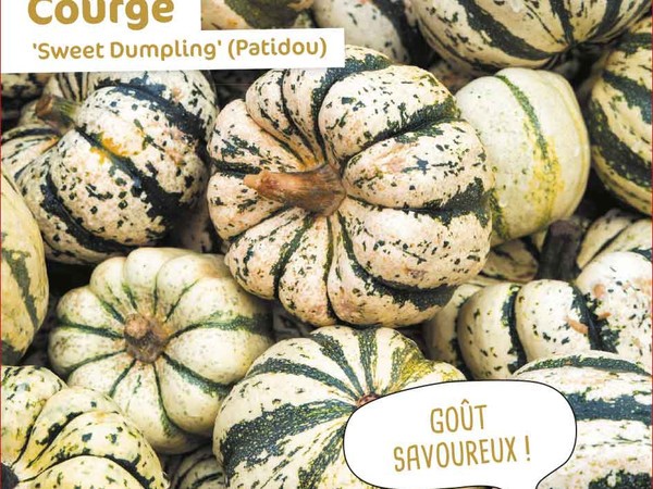 Courge Sweet Dumpling (Patidou)