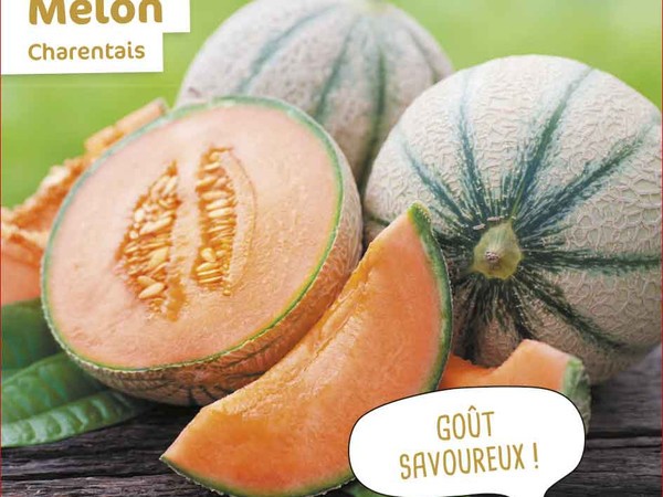 Melon Charentais