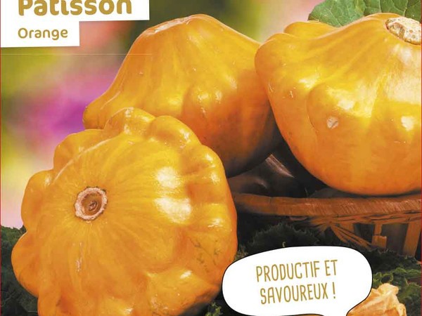 Pâtisson Orange