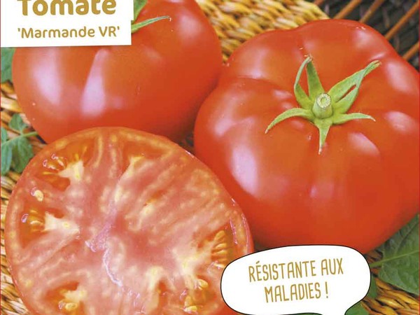 Tomate Marmande VR