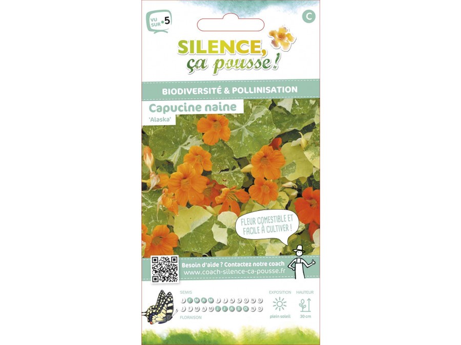 Capucine Naine Alaska Silence Ca Pousse