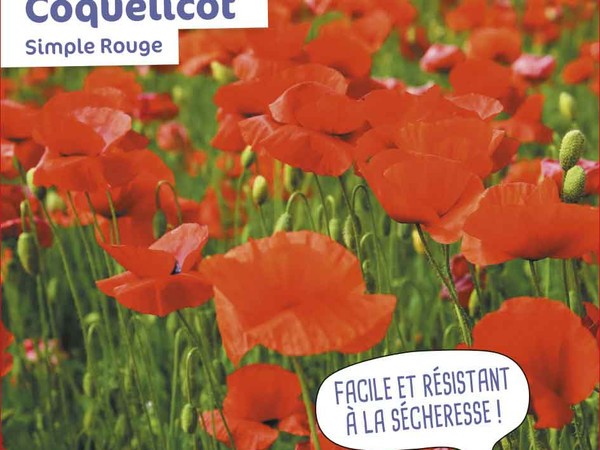 Coquelicot  Simple Rouge