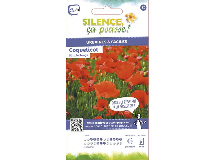 Coquelicot, Pavot : semis, floraison, culture et entretien