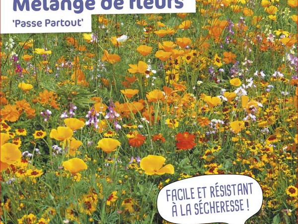 Mélange de fleurs Passe partout