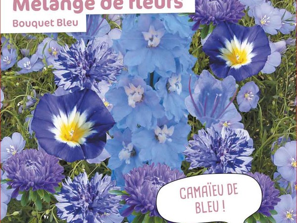 Mélange de fleurs Bouquet Bleu