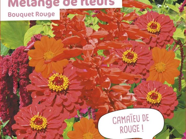 Mélange de fleurs Bouquet Rouge