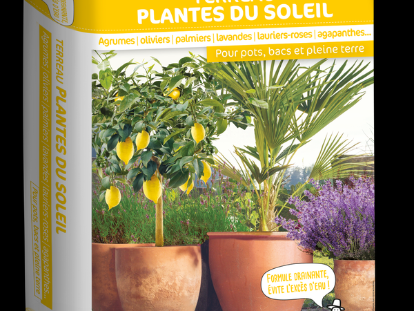 Terreau Plantes du soleil