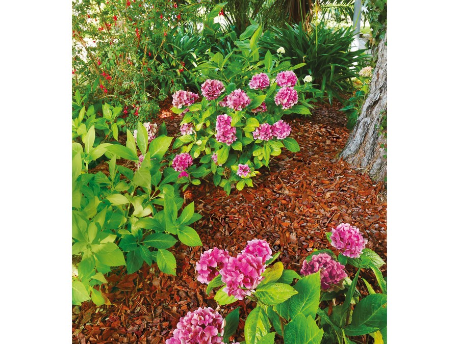 Paillage Ecorce de pin maritime Silence, ça pousse