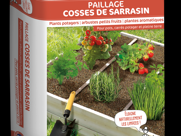 Paillage Cosses de Sarrasin