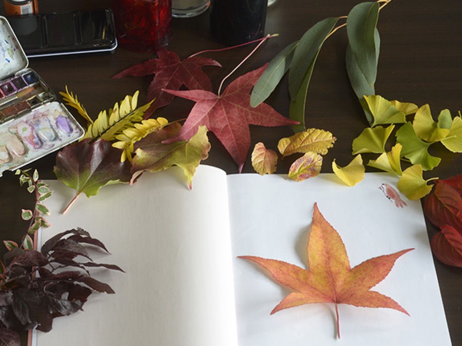 FABRIQUER UN HERBIER D'AUTOMNE AVEC LES ENFANTS