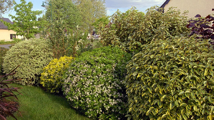 jardin au retour des vacances