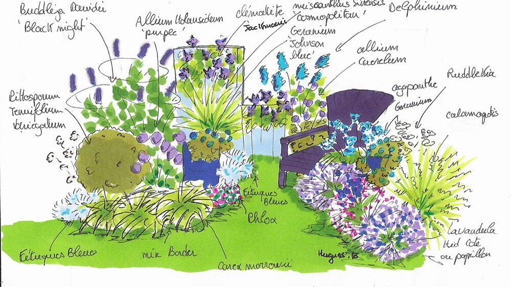 massif-fleurs-bleues.jpg massif-fleurs-bleues.jpg