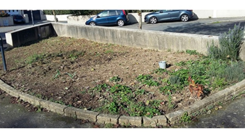 Photo du potager avant