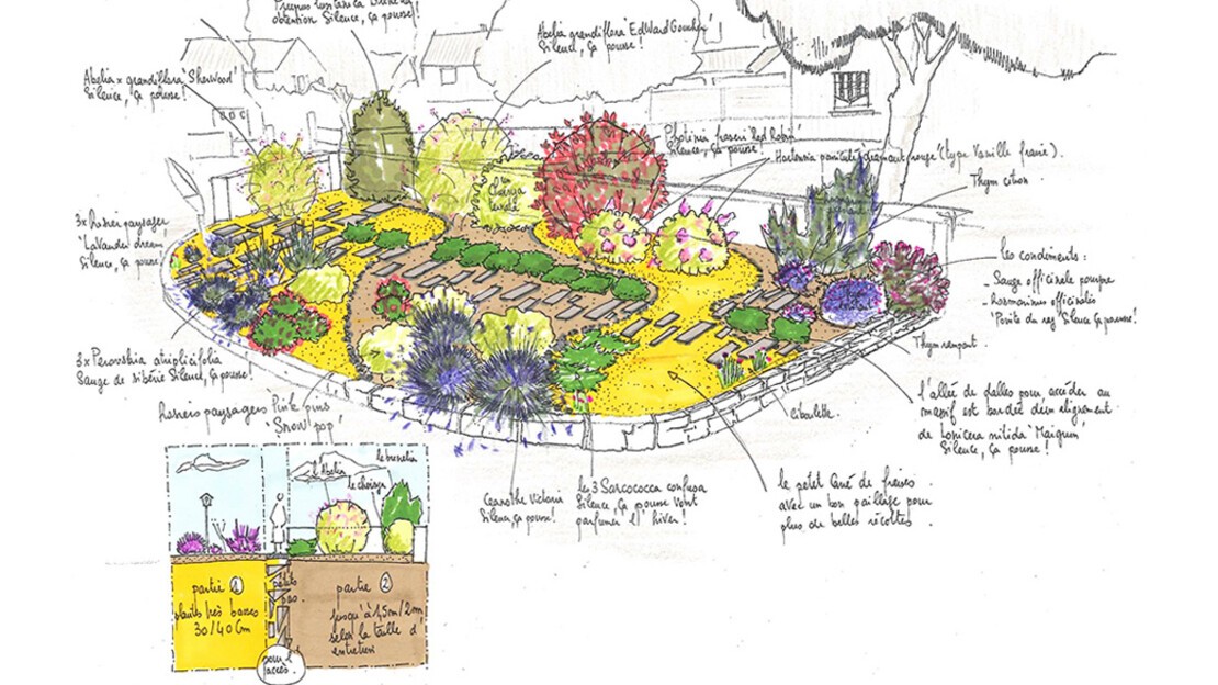 Dessin du potager avec explications
