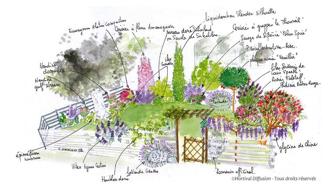 Dessin du jardin avec explications