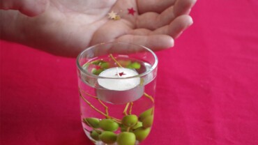 Photophore végétal 5