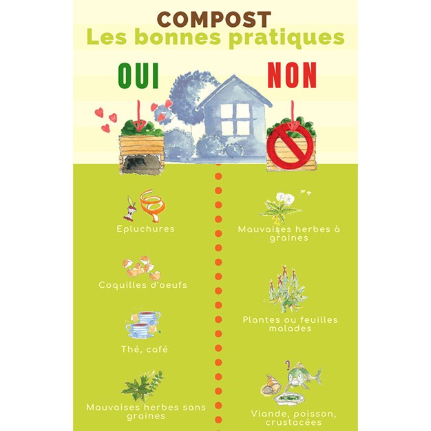 Infographie compost