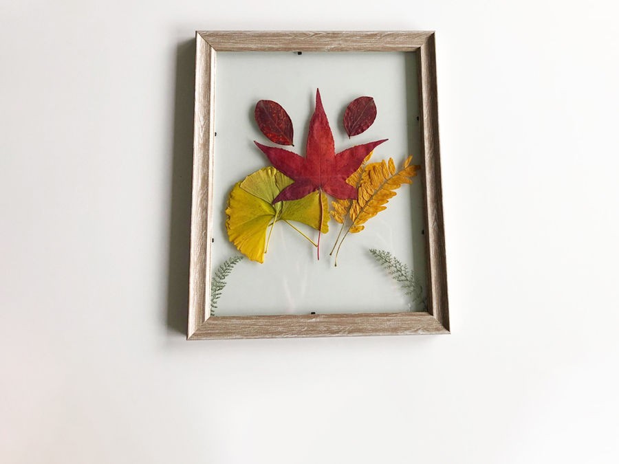 Cadre Herbier En Bois - Dimensions 19,7 X 5 X 27,2 Cm, Couleur Beige, Pour Collection Feuilles/herbes