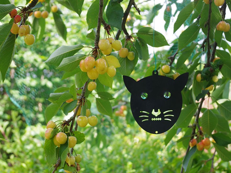 Pique d'arbre en fer pour grive/ Décoration de jardin/ Oiseaux  britanniques/ Idée cadeau pour les amateurs et les amateurs d'oiseaux/  Ferronnerie, remplisseurs de bas, amoureux de la nature -  France