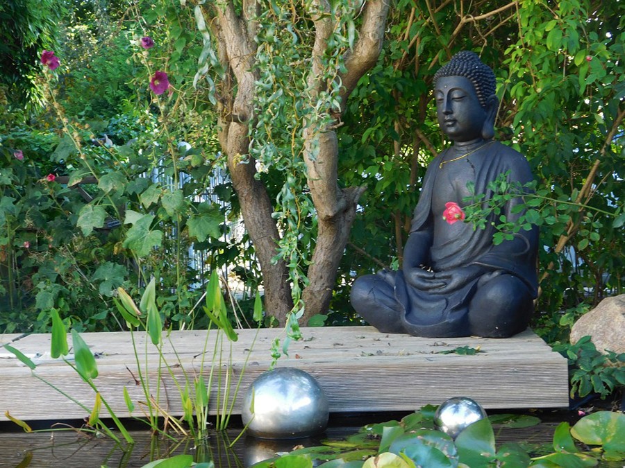jardin zen buddha