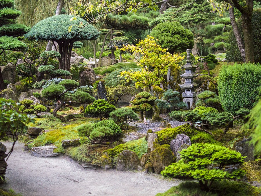 Jardin zen : idée d'aménagement facile