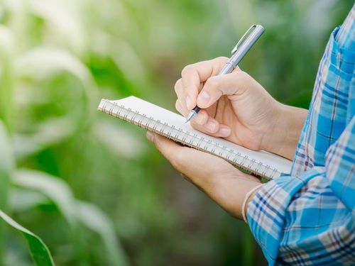 AMENAGER SON JARDIN : PAR OU COMMENCER