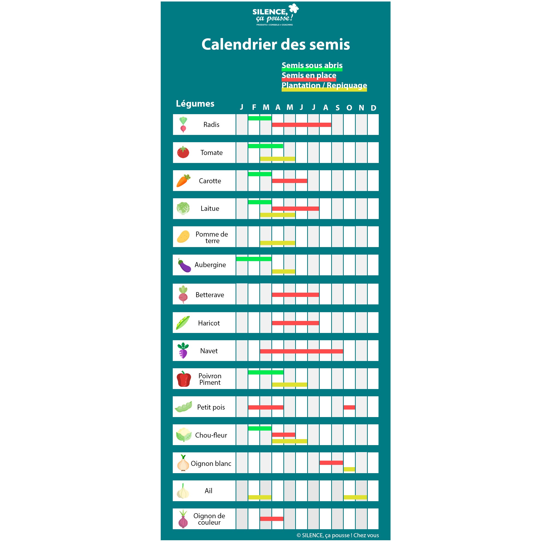 Un potager à la maison - Un cadeau original - Calendrier 2021 à