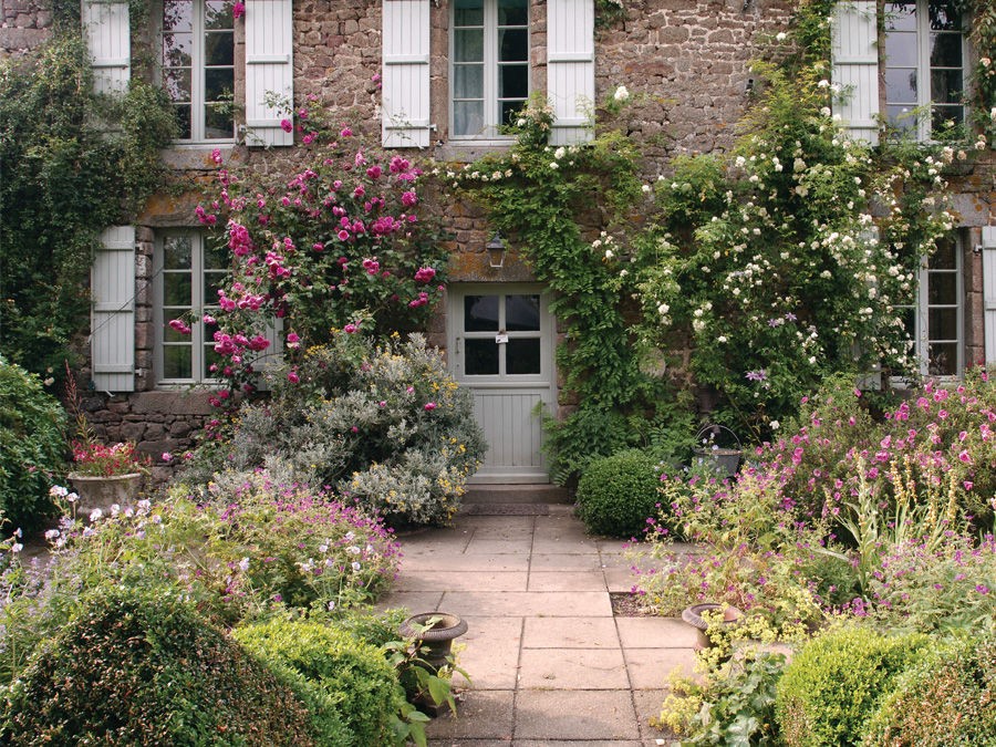 Choisir une plante grimpante et bien la placer Silence, ça pousse