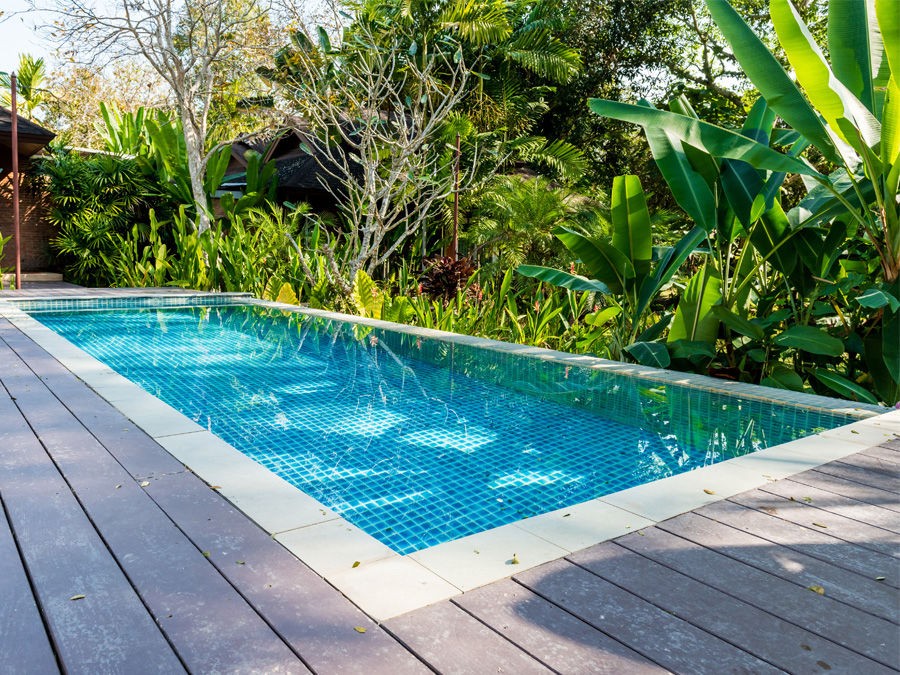 QUE PLANTER PRES D'UNE PISCINE ?