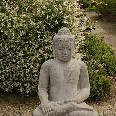 Statue de Boudha Saule crevette