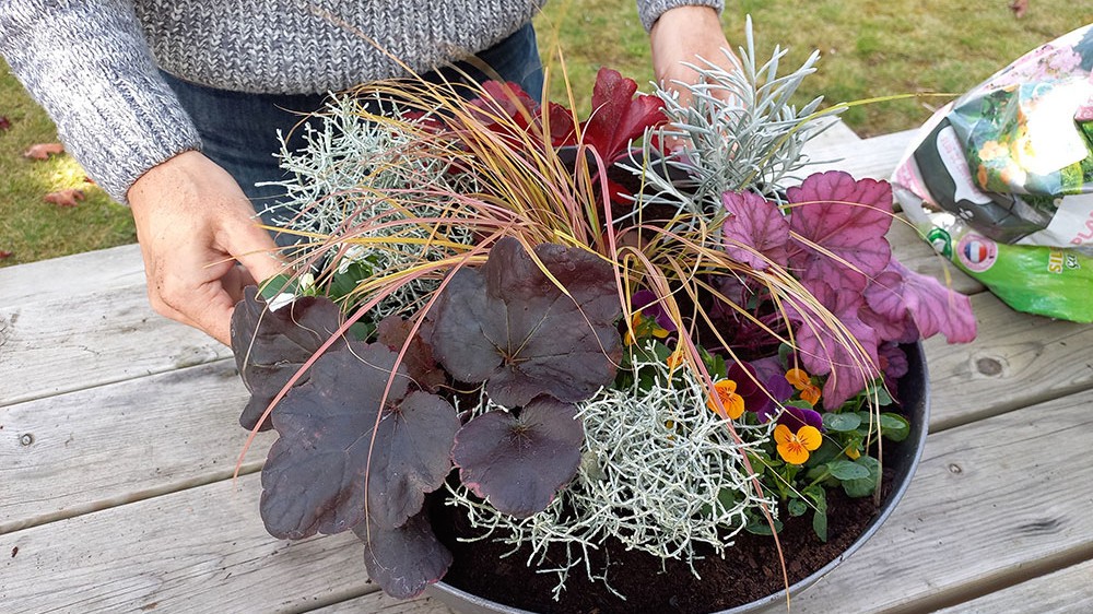 Faire les finitions de la potée d'automne