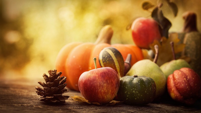 Légumes de saison automne