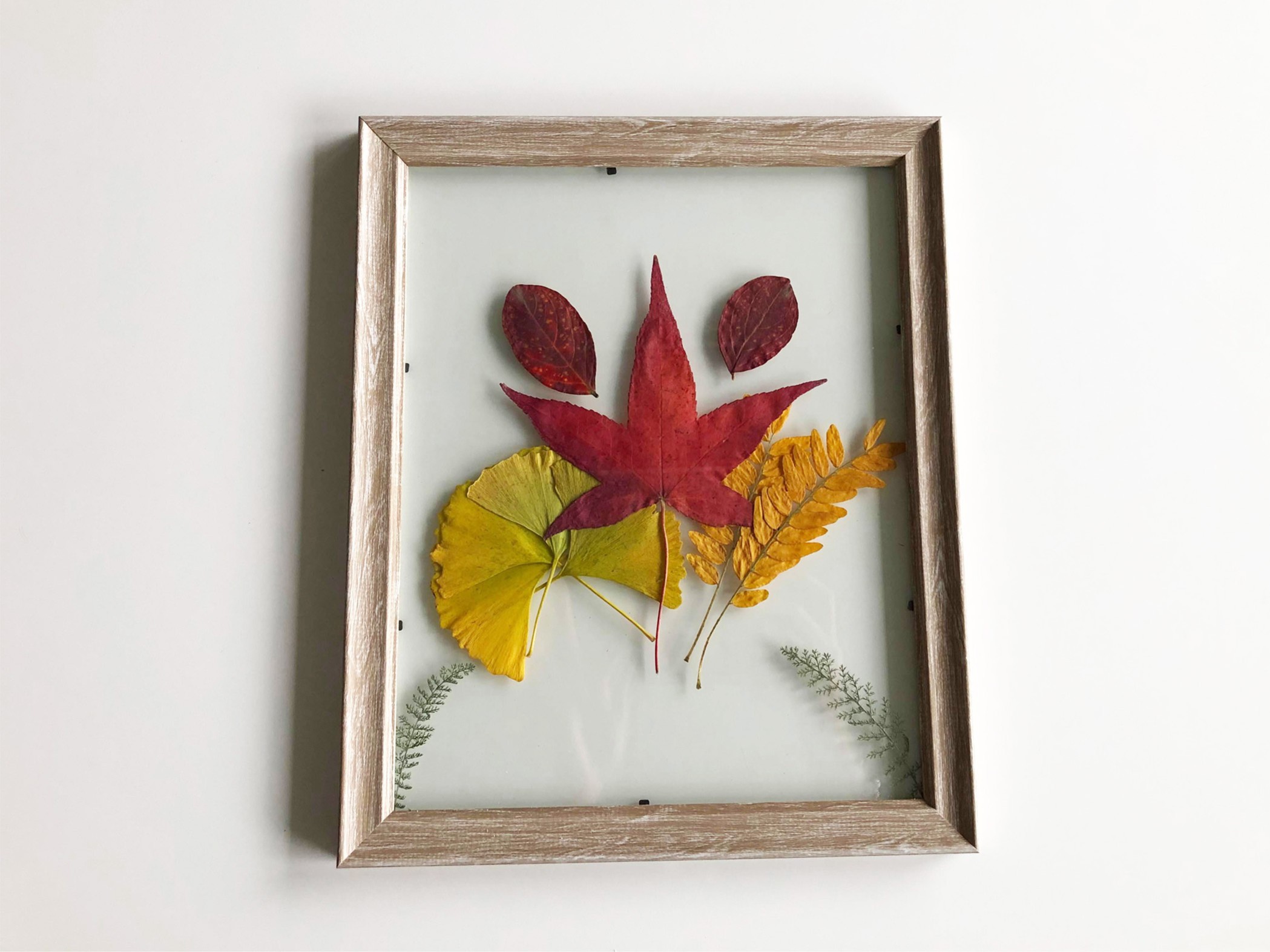 Homme Senior Avec Râteau Nettoyant Le Jardin Des Feuilles Mortes. Ratisser  Et Jardiner En Automne. Mettre La Feuille D'automne Dans Un Sac En  Plastique Pour Le Compostage Banque D'Images et Photos Libres