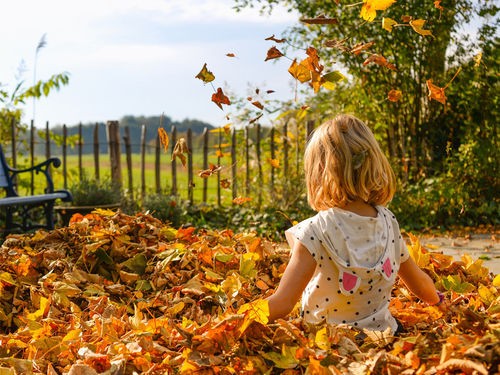 QUE FAIRE DES FEUILLES MORTES ?