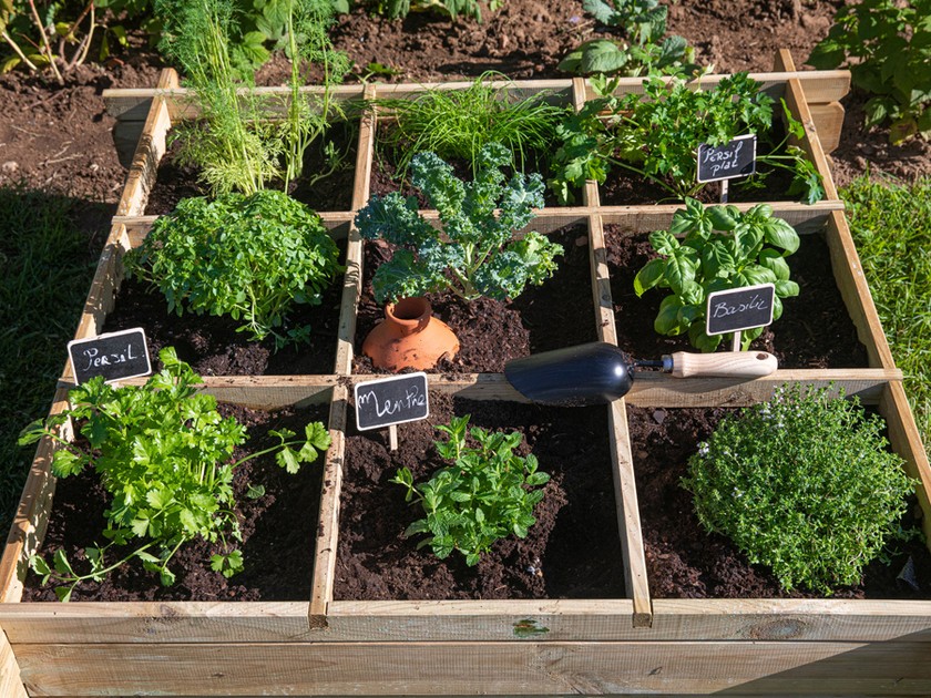 Création d'un potager