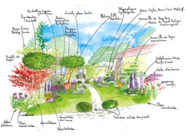 Dessin jardin à l'anglaise