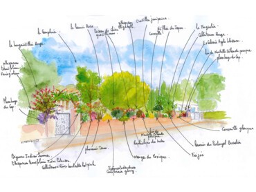 Haie fleurie le long d'un mur