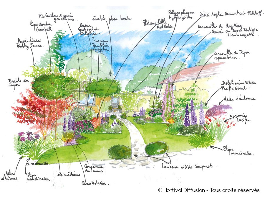 Dessin du jardin avec explications